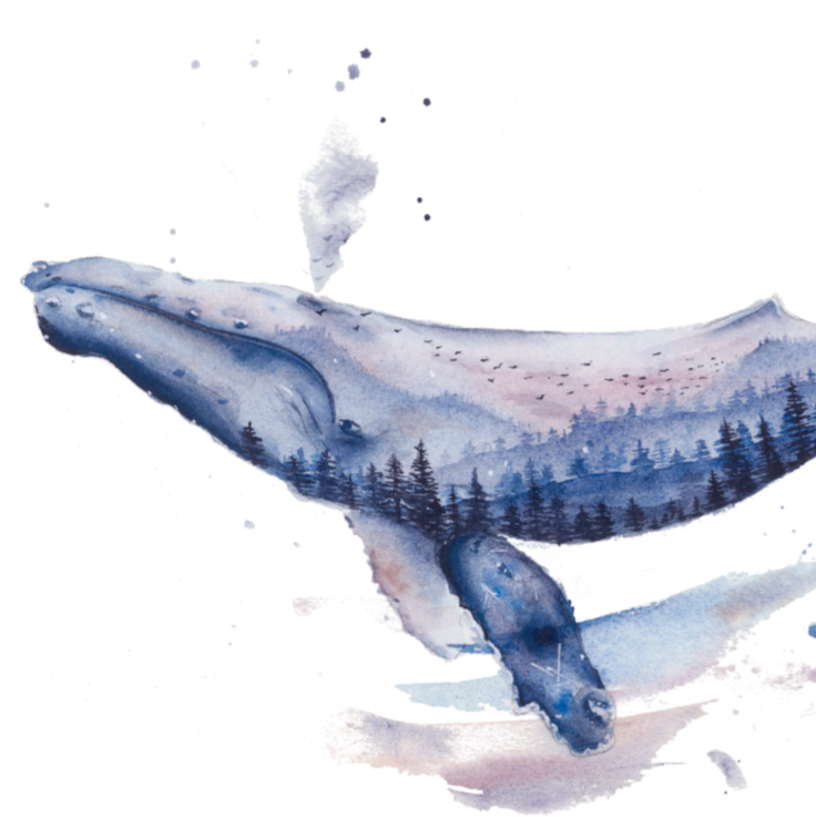 Ballena bosque