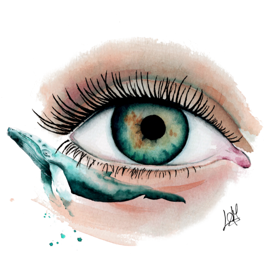 Ojo ballena