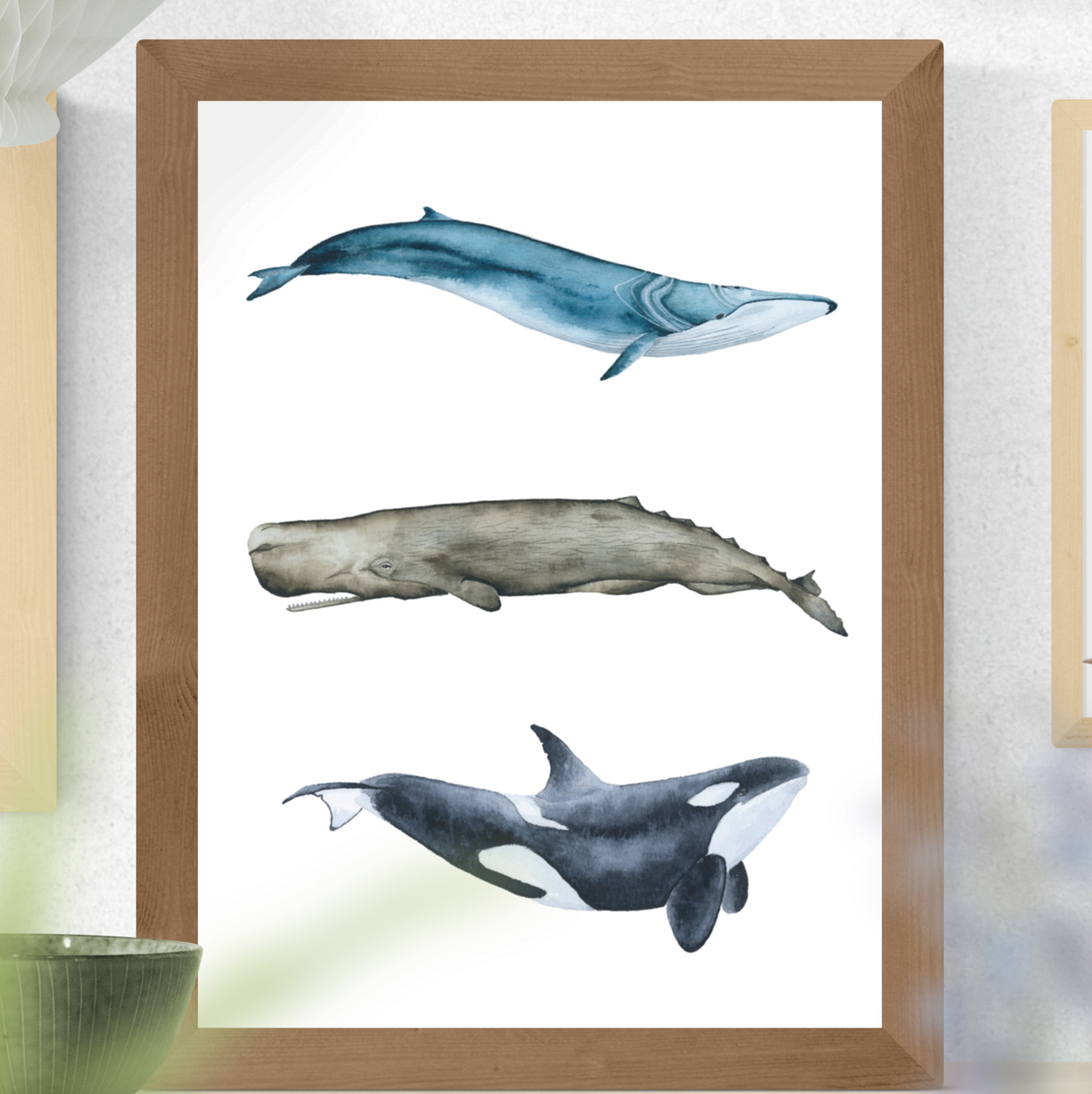 Rorcual, cachalote y orca