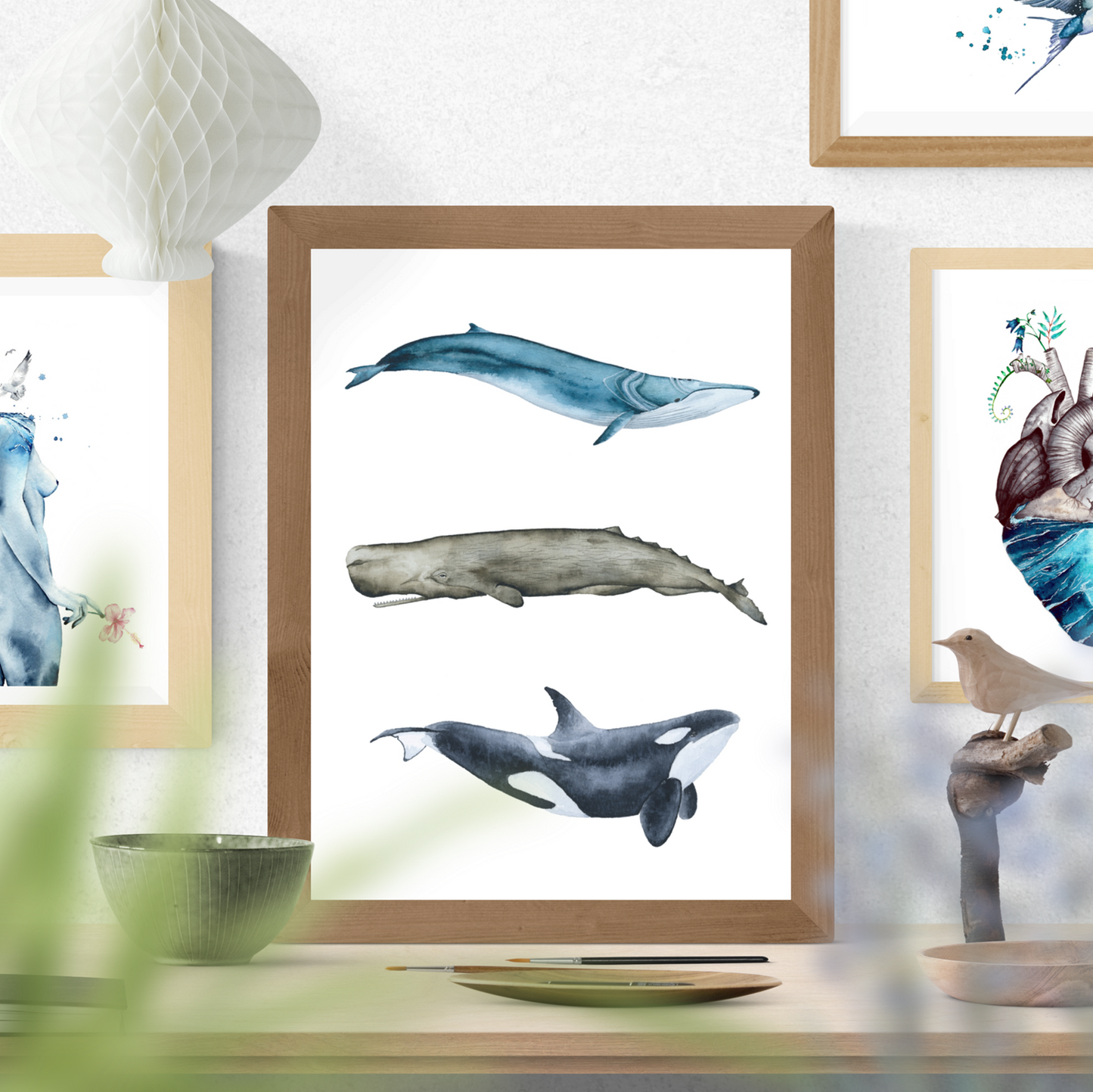 Rorcual, cachalote y orca