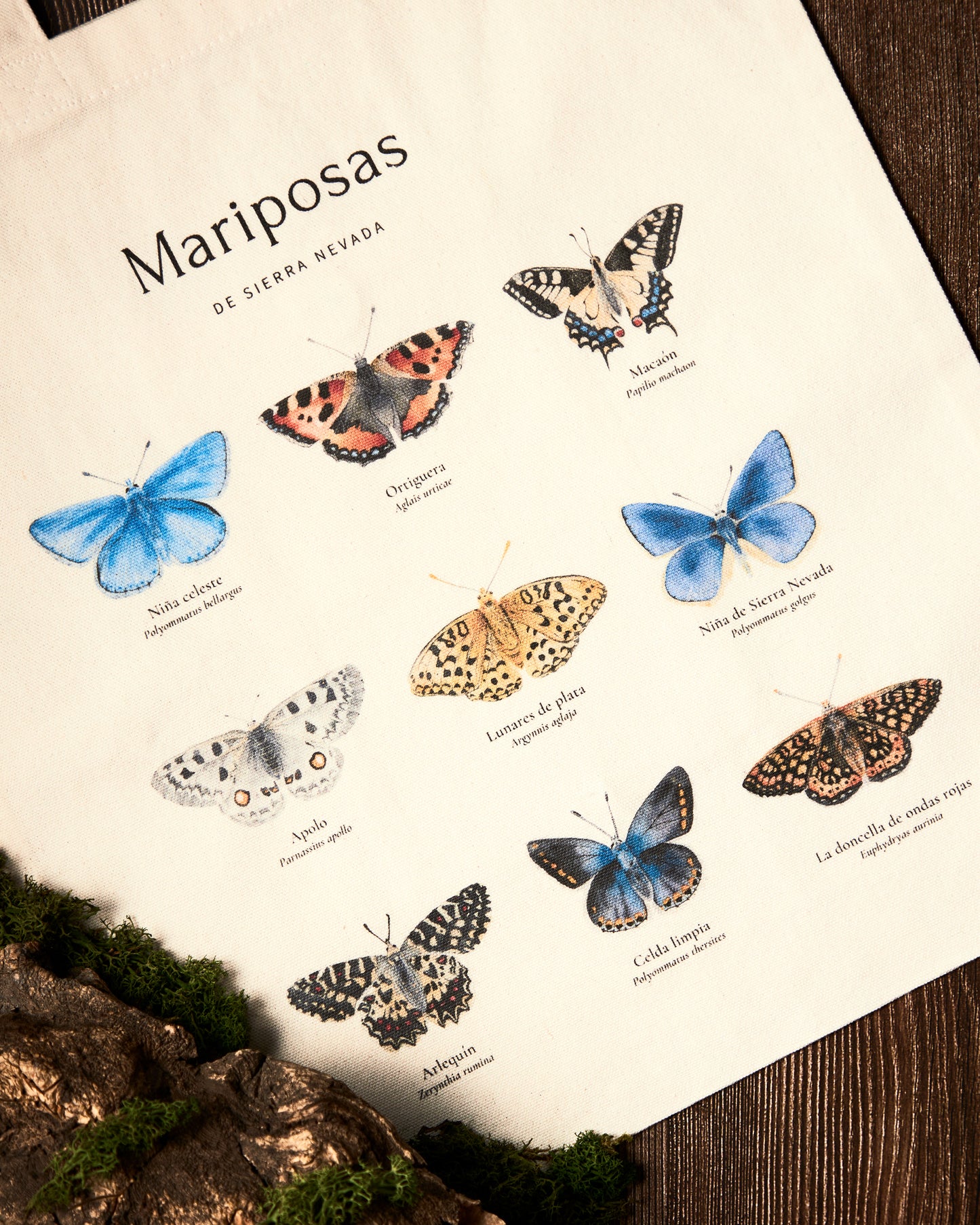 Tobag Mariposas
